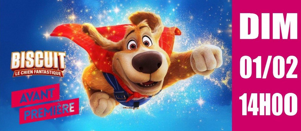 actualité AVP BISCUIT