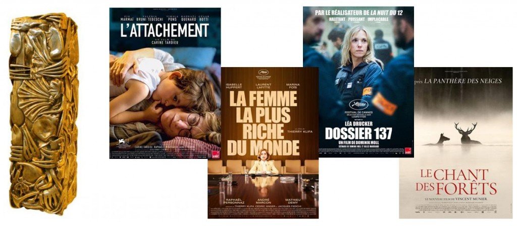 actualité selection cesar